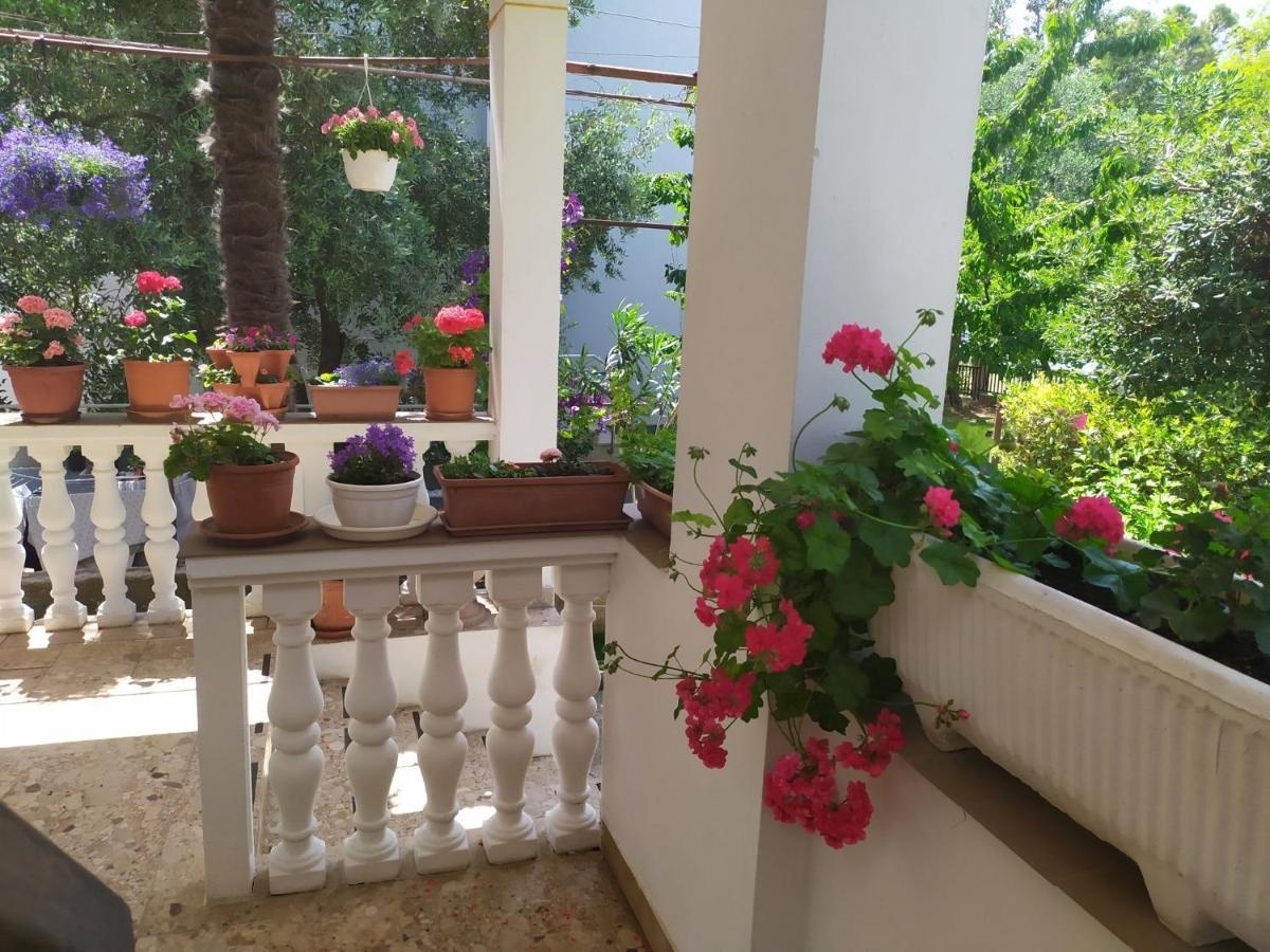 بيبينيا Apartments And Rooms Aleksandra المظهر الخارجي الصورة